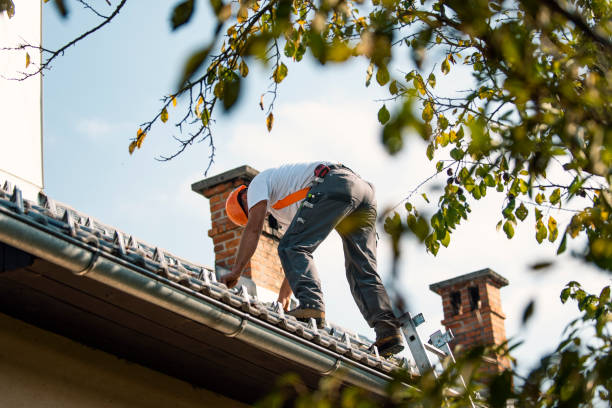Best Roof Restoration Services  in Grayvle, IL