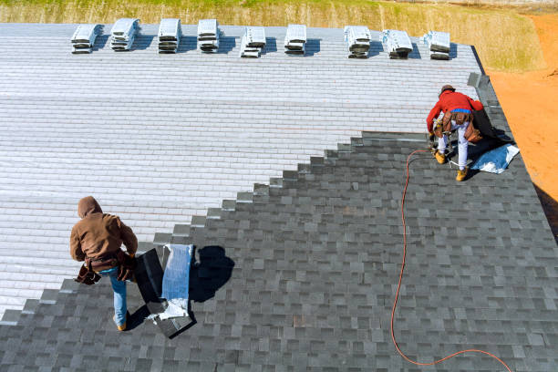 Best Roof Maintenance Services  in Grayvle, IL