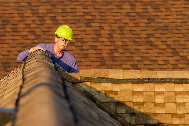 Best Flat Roof Repair Services  in Grayvle, IL